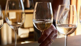 5 errores con vino que son los más comunes - Wine.com.mx