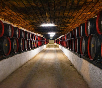 Conozca las bodegas urbanas más visitadas - Wine.com.mx