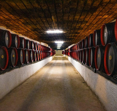 Conozca las bodegas urbanas más visitadas - Wine.com.mx