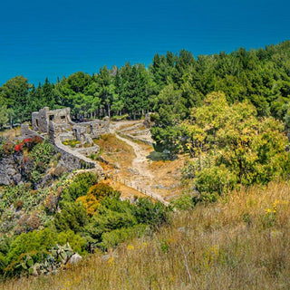 Enoturismo: conoce Sicilia através de los vinos - Wine.com.mx